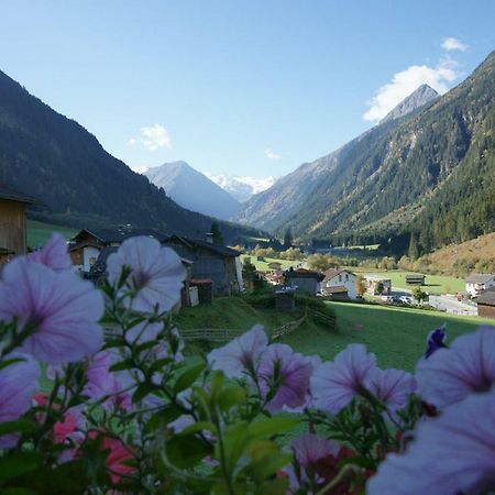 Apartment Voellenklee Neustift im Stubaital Exterior foto