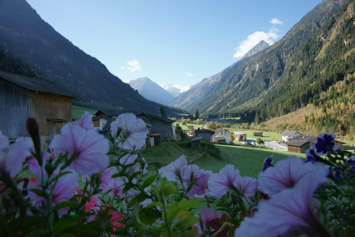 Apartment Voellenklee Neustift im Stubaital Exterior foto